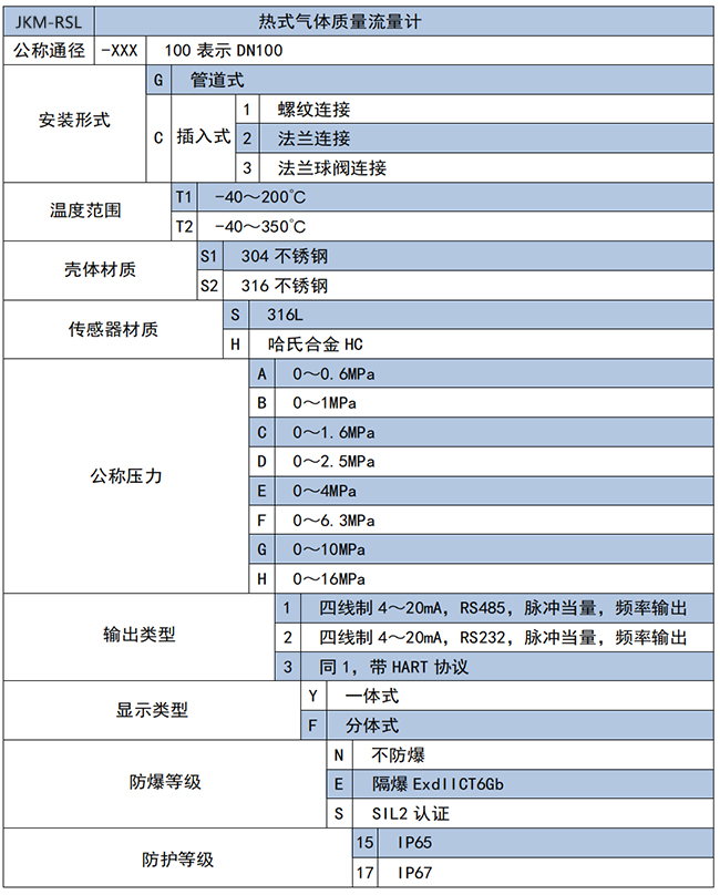 管段式热式气体质量流量计选项表